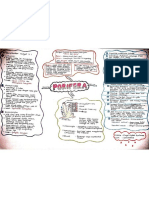 Firyal Rifdah Rachman_1202060029_Mind Map Porifera