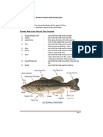 Gienelle D. Bermido 1. Parts of The Fish and Its Function Internal and External Parts