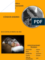 Condor Andino Presentacion
