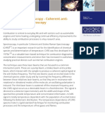 Combustion Spectroscopy - Coherent Anti-Stokes Raman Spectros