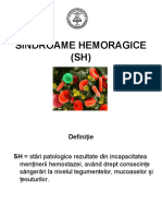 Sindroame-Hemoragice
