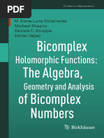 Bicomplex Holomorphic Functions - The Algebra, Geometry and Analysis of Bicomplex Numbers (PDFDrive)