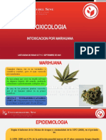 Intoxicacion Por Marihuana