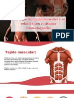 -Sistema-Muscular fisiologia final