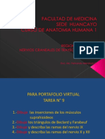 9.- Cu.3 Región Submaxilar - Caceres Matos Felix Enrique