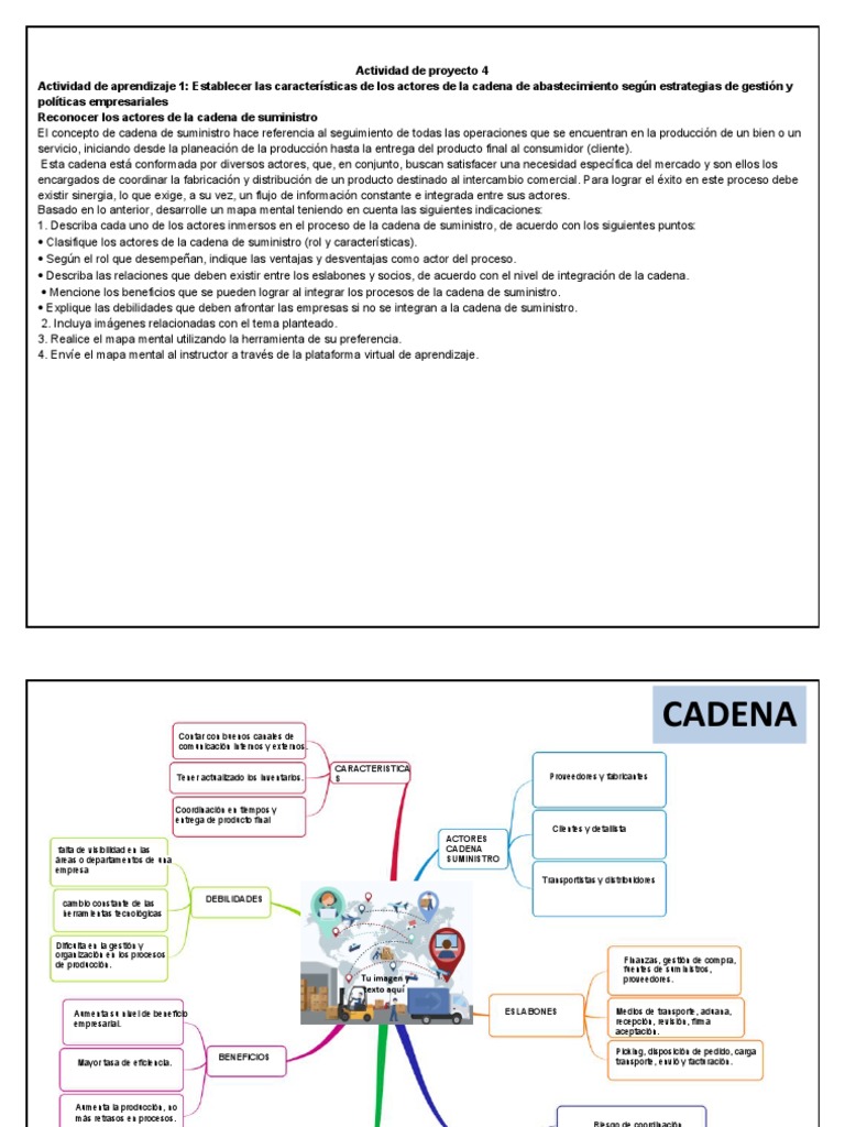 Mapa Mental de la Cadena de Suministro | PDF | Logística | Gestión de ...