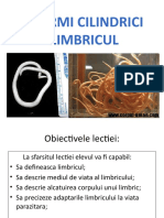 122000750 Viermi Cilindrici Limbricul