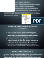 Funciones Del Sistema Nervioso