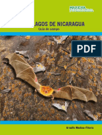 Libro... Los Murcielagos de Nicaragua.