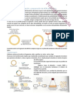 3 - Métodos de Transformación y Preparación de ADN Plasmidico