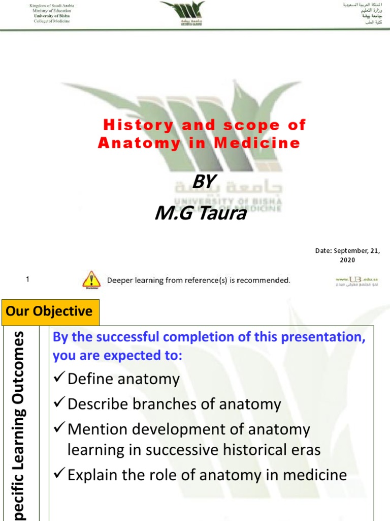 History and Importance of Anatomy in Medicine | PDF | Anatomy | Medicine