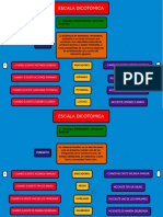 Escala Dicotomica y Sus Indicadores y Varibles