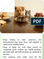 Dog Nutrition