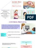 Control Prenatal