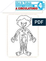 El Sistema Circulatorio para Ninos de 4 Anos