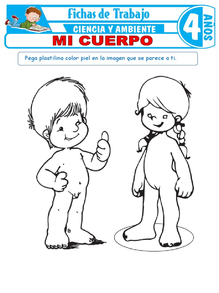 Actividades de Cuerpo Humano para Niños | PDF, image size:768x1024