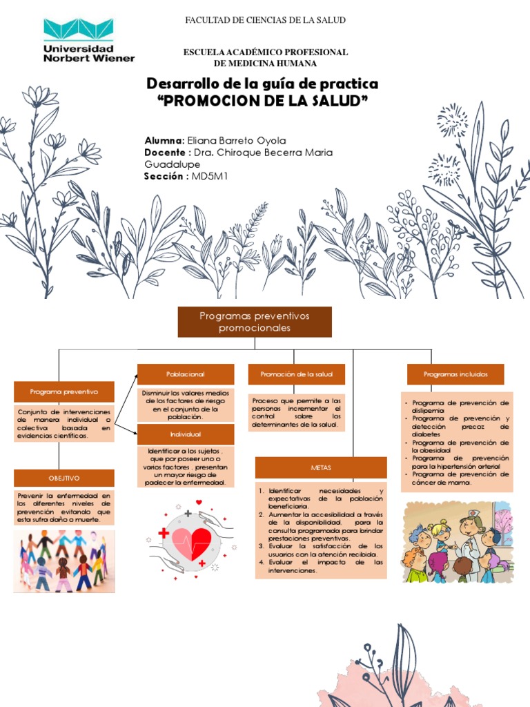 Mapa Conceptual de Programas Preventivos Promocionales | PDF ...