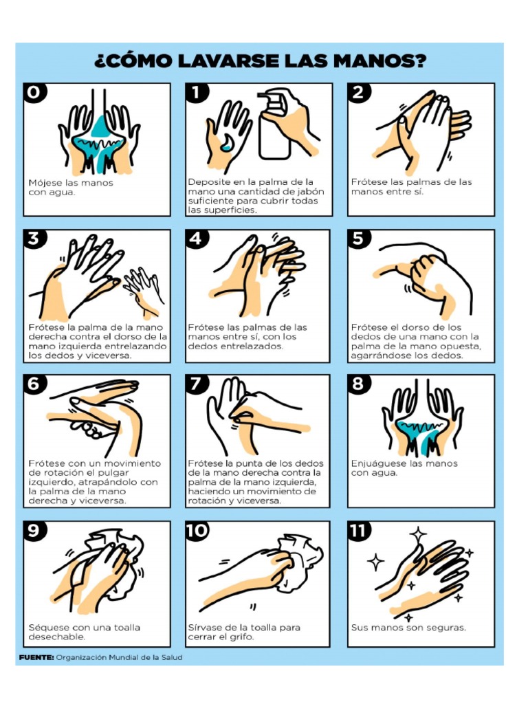 Lavado de 11 Pasos | PDF
