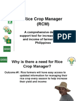 Increase Rice Yields and Farmer Income with Rice Crop Manager (RCM