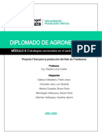 Trabajo Final-Grupo 02-Diplomado de Agronegocios Frambuesa No Presentar