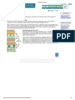 Radiometric Dating: Radioactive Elements Decay