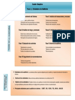 Cuadro Sinóptico Fases y Estándares de Auditoria