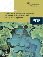 Defining an Ecosystem Approach to Urban Management and Policy