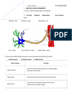 Nervous Tissue Angelica Lupisan