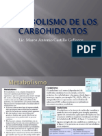 Hidratos de carbono y glucólisis