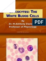 The Physiology of Blood