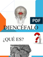 Diencefalo