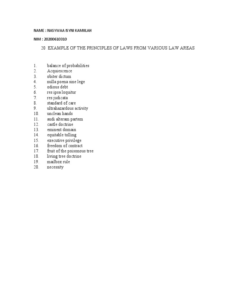 20 Principles of Laws From Various Law Areas | PDF