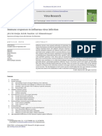 Immune Responses To Influenza Virus