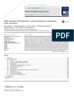 Alkil Aminated Nanocelluloces in Flotation