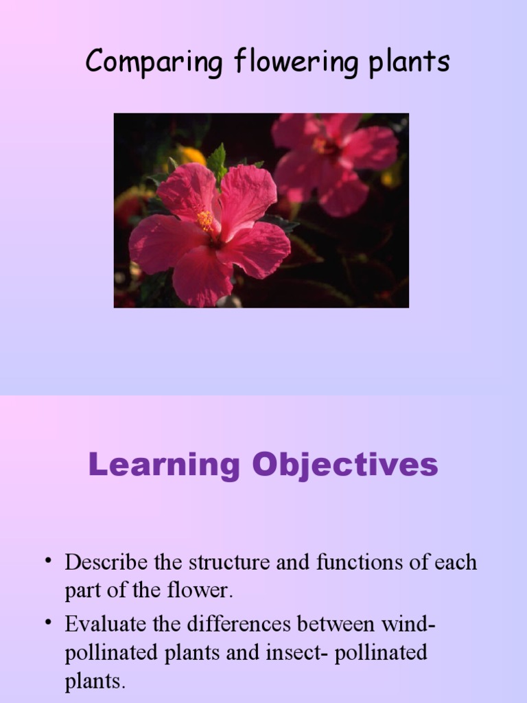 Grade 7 Comparing Flowering Plants | PDF | Flowers | Pollination