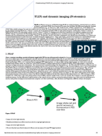 Photobleaching (FRAP - FLIP) and Dynamic Imaging (Proteomics)