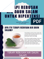 Terapi Rebusan Daun Salam Hipertensi (TRDSH