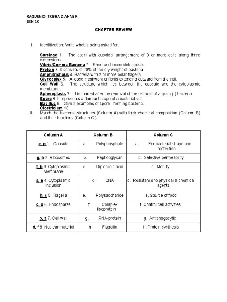Micro para Lec (Bacterial Cytology) | PDF | Science & Mathematics