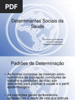 Aula - Determinantes Sociais da Saude - Aline Leite