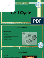 Week 7 - Cell Cycle - Final