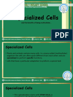 Week 5 - Specialized Cells