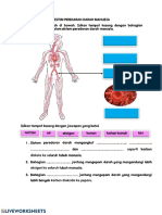 Sistem Peredaran Darah