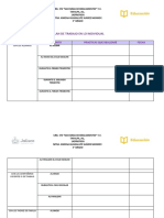 Plan de Trabajo en Lo Individual