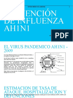 Prevencion Influenza Ah1n1