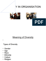 Diversity in Organisation