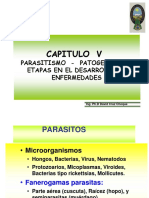 Patogenicidad de fitopatógenos: etapas del ciclo de enfermedad