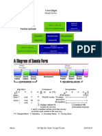 Sonat Formu Şeması
