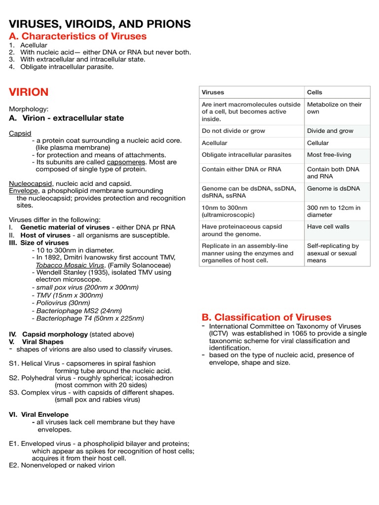 7 Viruses Viroids and Prions | PDF | Virus | Bacteriophage