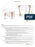 7 MS Anatomy and Physiology