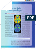 Evolución de La Neuropsicologia